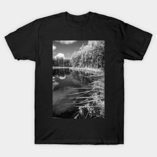 Lake Herbert #3 T-Shirt